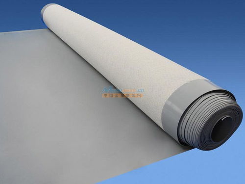 煙臺(tái)地區(qū)防水全解析 材料選擇、堵漏技術(shù)與工程實(shí)踐