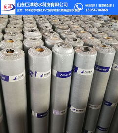 深入解析杭州與山東巨洋耐根穿刺防水卷材 關鍵技術、檢測標準與市場應用